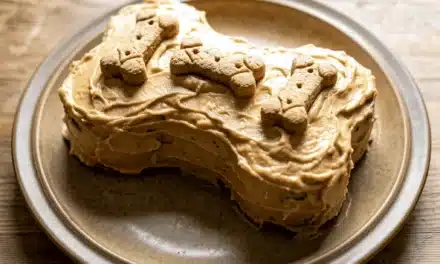 The Perfect Dog Birthday Cake